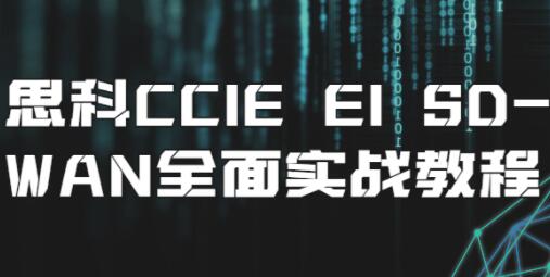 思科CCIE EI SD-WAN全面实战教程视频