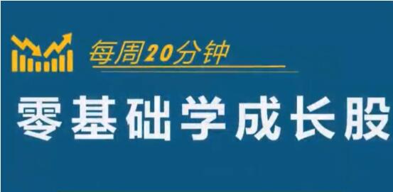 怎样选择成长股《零基础学成长股》股票讲座视频