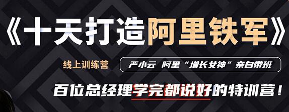 严小云销售特训营《十天快速打造阿里铁军》百位总经理学完都说好