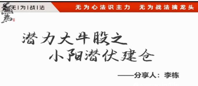 无为李栋《潜力大牛股之小阳潜伏建仓》股票讲座