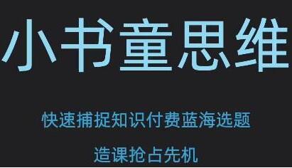 林雨《小书童思维课》快速捕捉知识付费蓝海选题