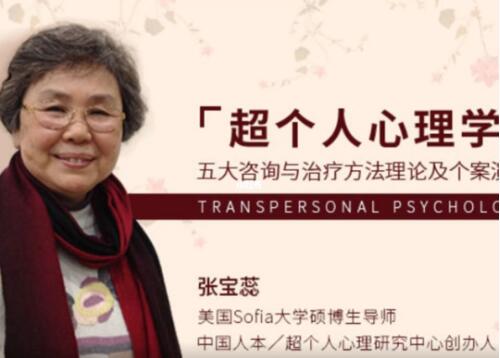 张宝蕊《超个人心理学》五大咨询与治疗方法理论及个案演示课程视频