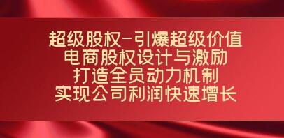 股权引爆超级价值《电商股权设计与激励》打造全员动力机制