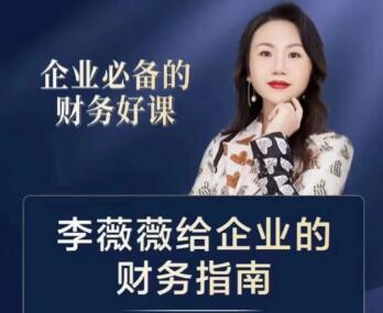 企业必备的账务好课《李薇薇给企业的财务指南》