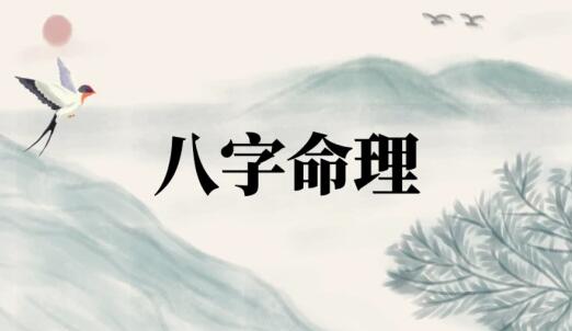左林《八字命理实战》18集视频课程第1张
