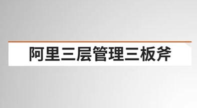 《阿里三层管理三板斧》战略性的组织执行力