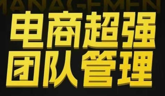 电商超强团队管理,组织绩效,到用人执行,分权合伙