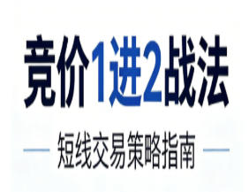 竞价1进2战法,1进2执行策略