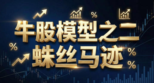 牛股模型之二蛛丝马迹