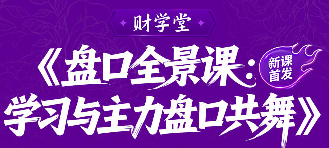 雨禾-盘口全景课:学习与主力盘口共舞
