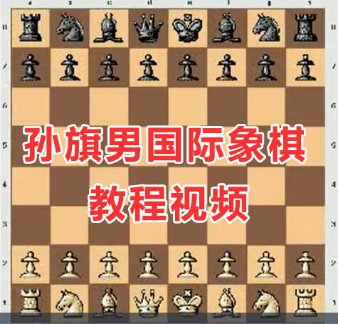 孙旗男国际象棋教程，100集象棋入门教程从零开始教学视频