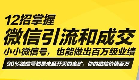 2招微信引流成交技术，让你做出百万级业绩，培训课程视频"