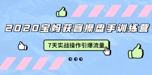 宝妈获客引流技术训练营，7天实战操作引爆流量