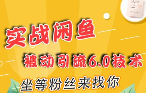 闲鱼被动引流技术6.0，坐等粉丝来找你，实战培训课程视频