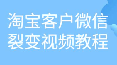 《淘宝客户微信裂变》培训课程视频教程