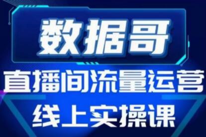 数据哥《直播间流量运营线上实操培训课程》不能错过的一套系统课教程