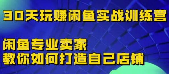 《30天玩赚闲鱼实战训练营》闲鱼专业卖家教你如何打造自己店铺