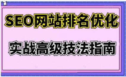 樊天华《SEO网站排名优化》实战高级技法指南