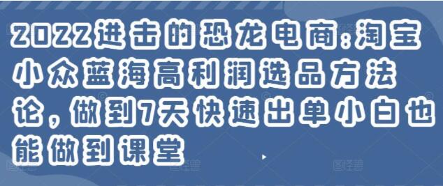 《淘宝小众蓝海高利润选品方法论》做到7天快速出单小白也能做到