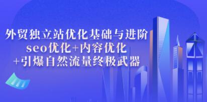 叶建阳《外贸独立站优化基础与进阶》seo优化+内容优化+引爆自然流量终极武器