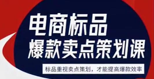 大圣《电商标品爆款卖点策划课》标品卖点成就爆款，可落地卖点提炼课