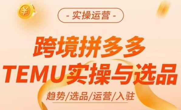 《拼多多跨境电商temu实操与选品》​掌握平台运营方法技巧，爆款的底层思路等