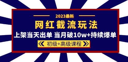 淘宝店铺运营《网红同款截流玩法》上架当天出单，当月破10w+