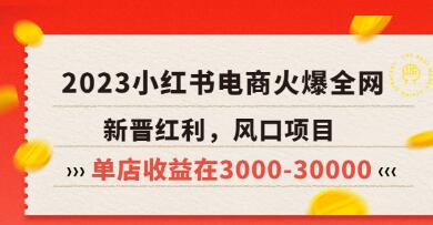 米杰《小红书电商项目》从小白到精英实战教学，单店收益在3000-30000