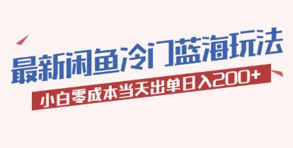 《闲鱼冷门蓝海玩法》小白零成本当天出单日入200+