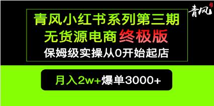 《小红书无货源电商爆单终极版》保姆级实操从0起店爆单