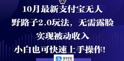 《支付宝无人野路子2.0玩法》无需露脸，实现被动收入插图