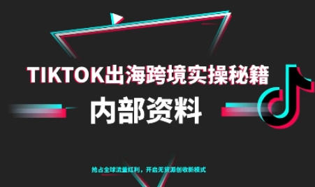 TikTok跨境电商0-1搭建运营,TK出海跨境实操秘籍