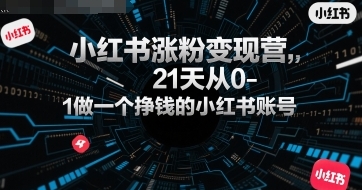 СǷ۱Ӫ210-1һǮС˺